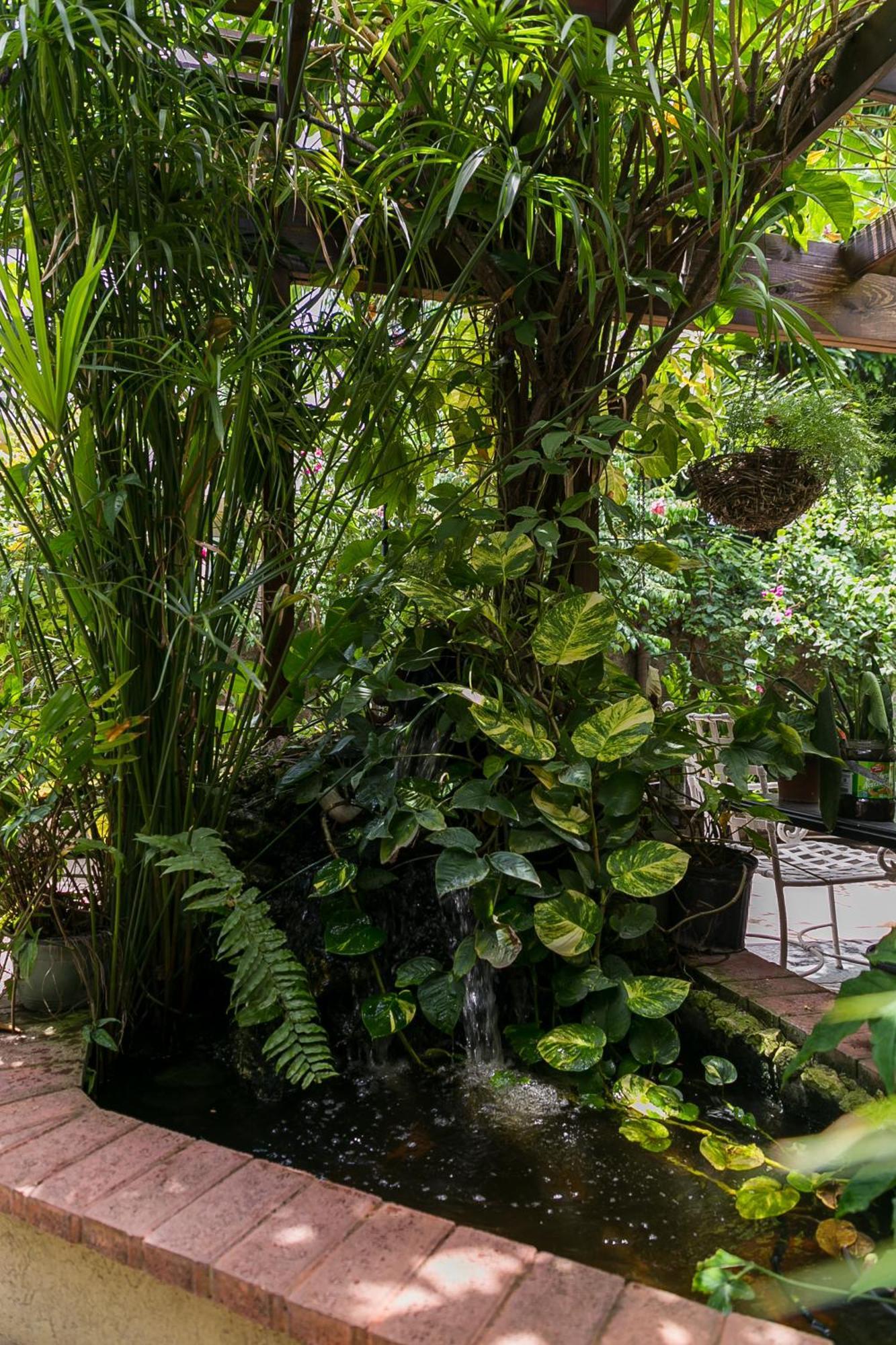 شقة Botanic Bliss Living In كينغستون المظهر الخارجي الصورة